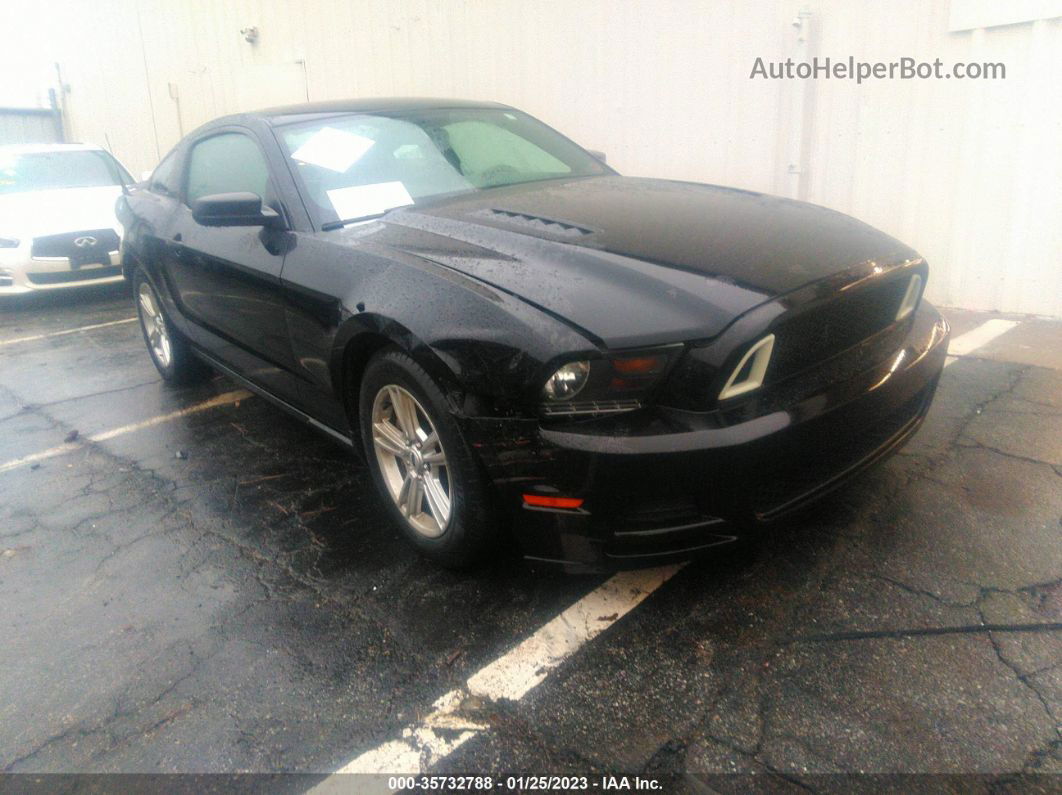 2011 Ford Mustang V6 Black vin: 1ZVBP8AM4B5152838