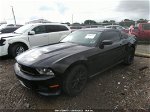 2011 Ford Mustang V6 Черный vin: 1ZVBP8AM4B5154752