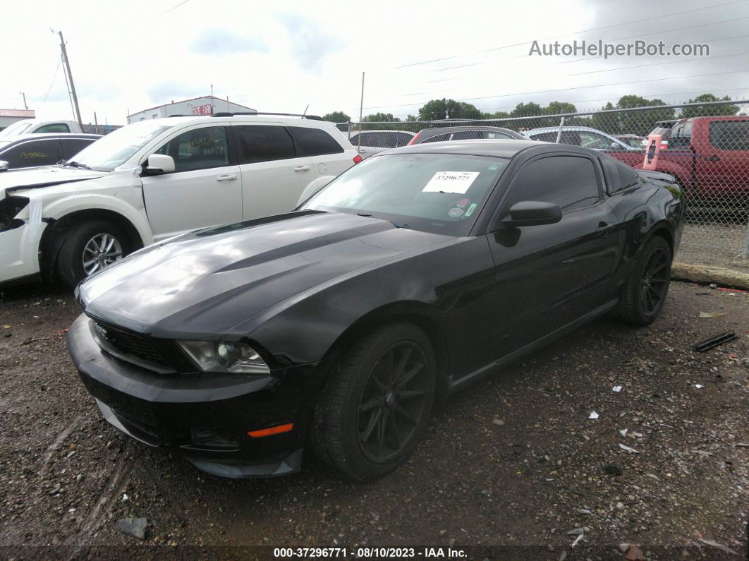 2011 Ford Mustang V6 Black vin: 1ZVBP8AM4B5154752