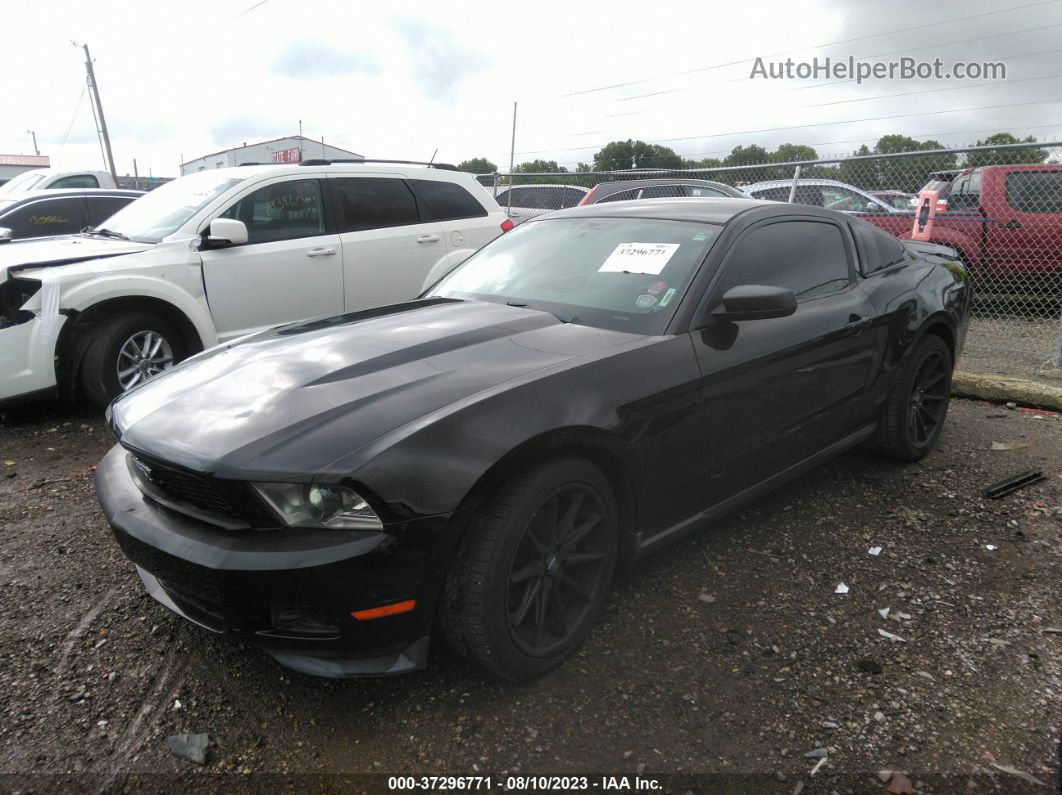 2011 Ford Mustang V6 Черный vin: 1ZVBP8AM4B5154752