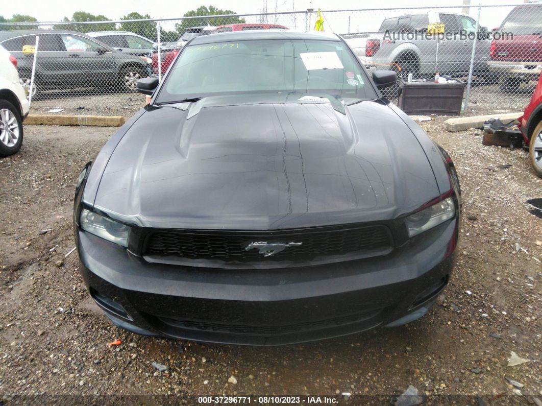 2011 Ford Mustang V6 Black vin: 1ZVBP8AM4B5154752