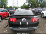 2011 Ford Mustang V6 Черный vin: 1ZVBP8AM4B5154752