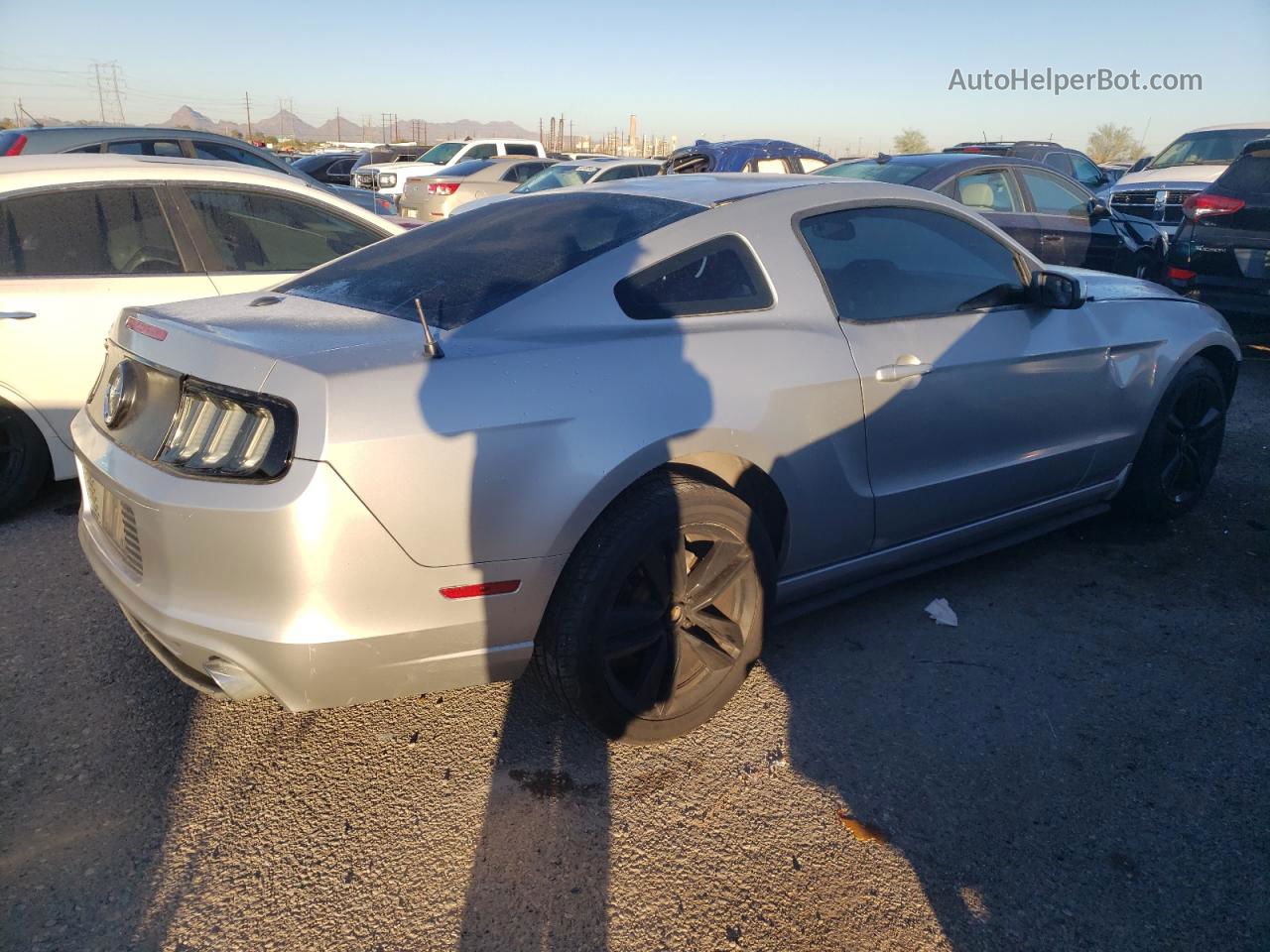 2014 Ford Mustang  Silver vin: 1ZVBP8AM4E5286351