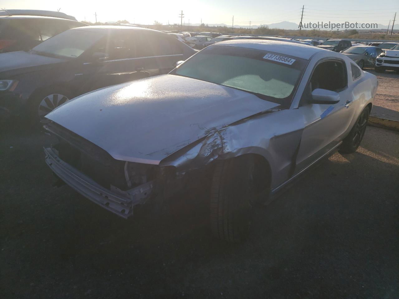 2014 Ford Mustang  Silver vin: 1ZVBP8AM4E5286351