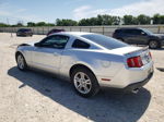 2011 Ford Mustang  Silver vin: 1ZVBP8AM5B5122733