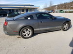 2011 Ford Mustang  Gray vin: 1ZVBP8AM5B5133599