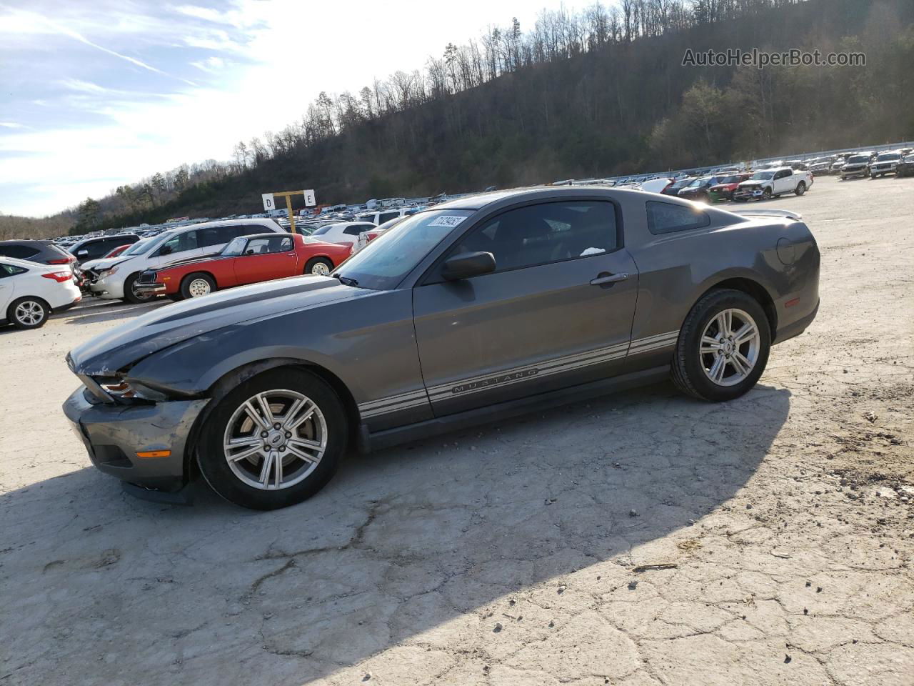 2011 Ford Mustang  Gray vin: 1ZVBP8AM5B5133599