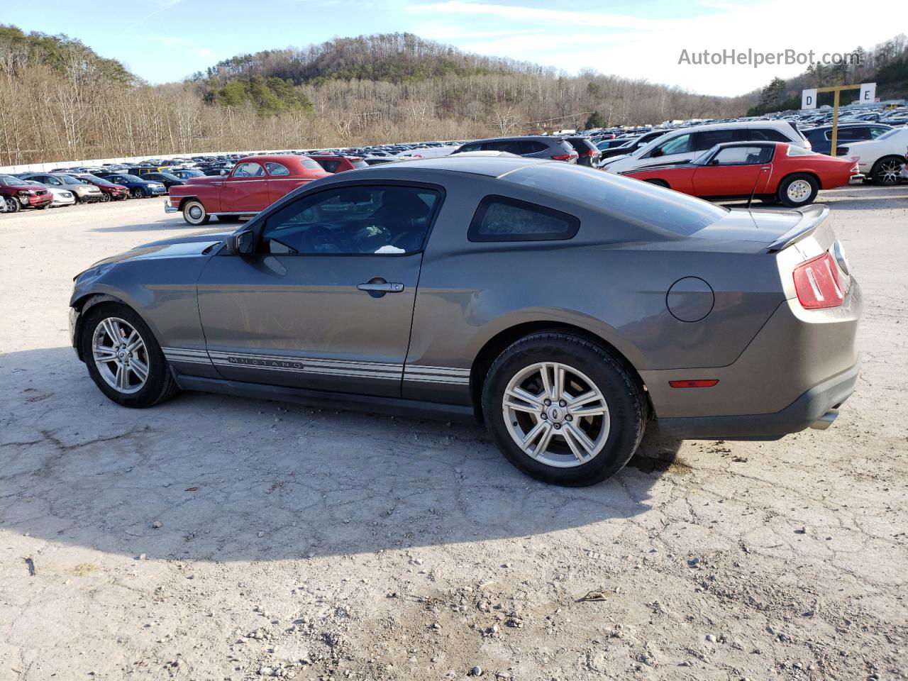 2011 Ford Mustang  Gray vin: 1ZVBP8AM5B5133599