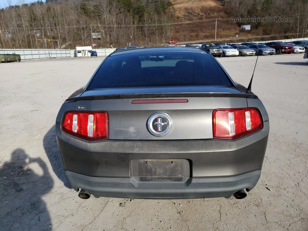 2011 Ford Mustang  Gray vin: 1ZVBP8AM5B5133599