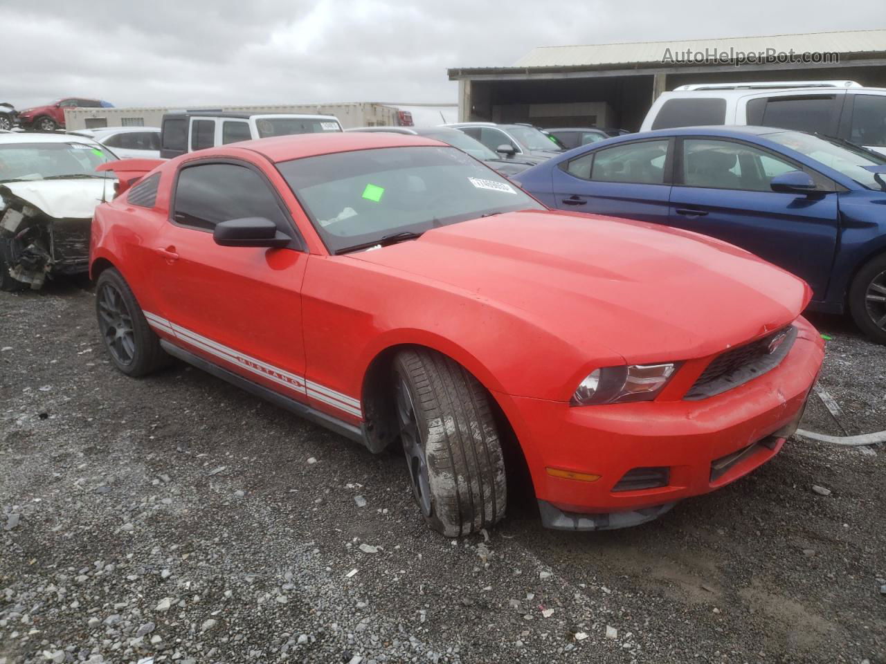 2011 Ford Mustang  Красный vin: 1ZVBP8AM5B5148989