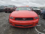 2011 Ford Mustang  Red vin: 1ZVBP8AM5B5148989