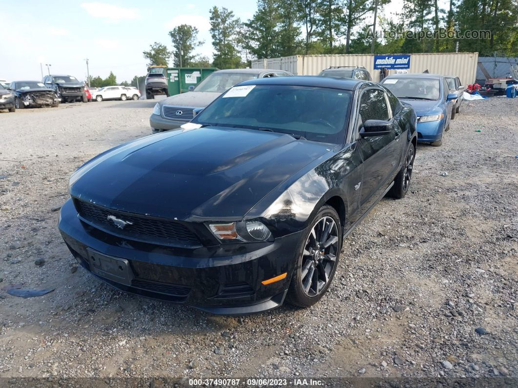 2011 Ford Mustang V6 Black vin: 1ZVBP8AM5B5157109