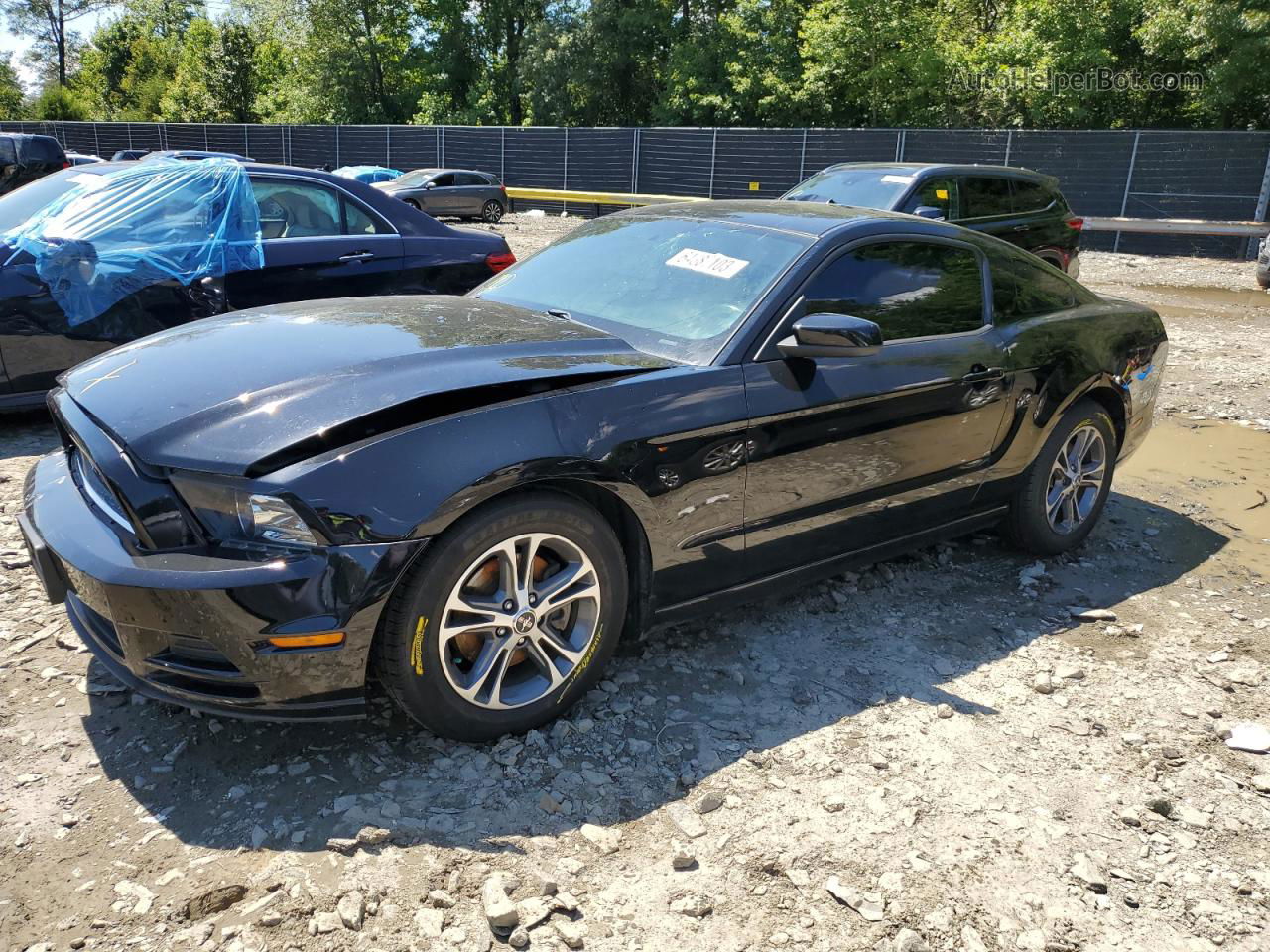 2014 Ford Mustang  Black vin: 1ZVBP8AM5E5264780