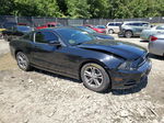 2014 Ford Mustang  Black vin: 1ZVBP8AM5E5264780