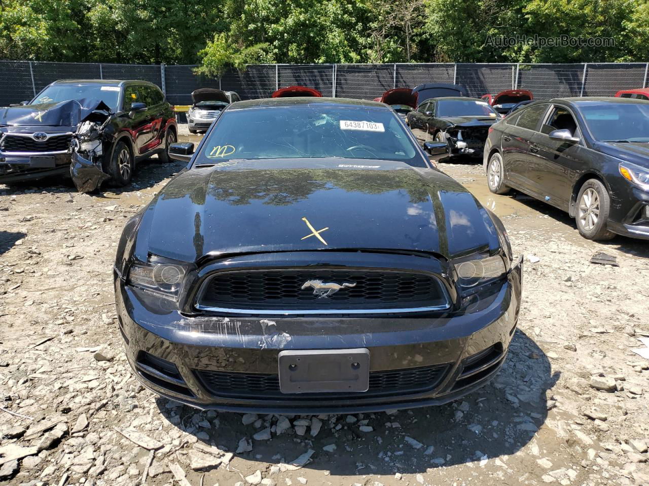 2014 Ford Mustang  Black vin: 1ZVBP8AM5E5264780