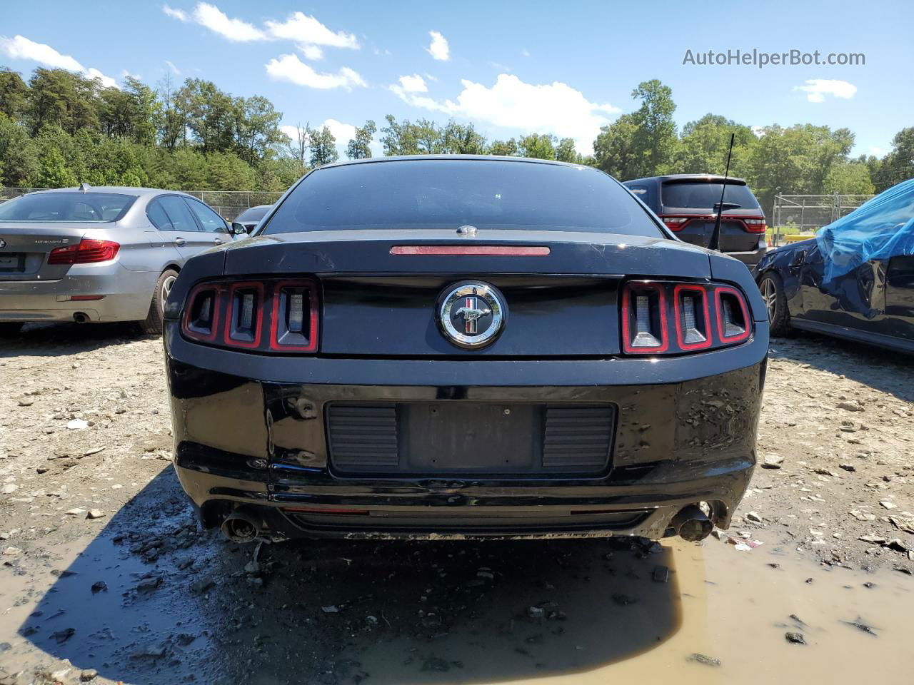 2014 Ford Mustang  Black vin: 1ZVBP8AM5E5264780