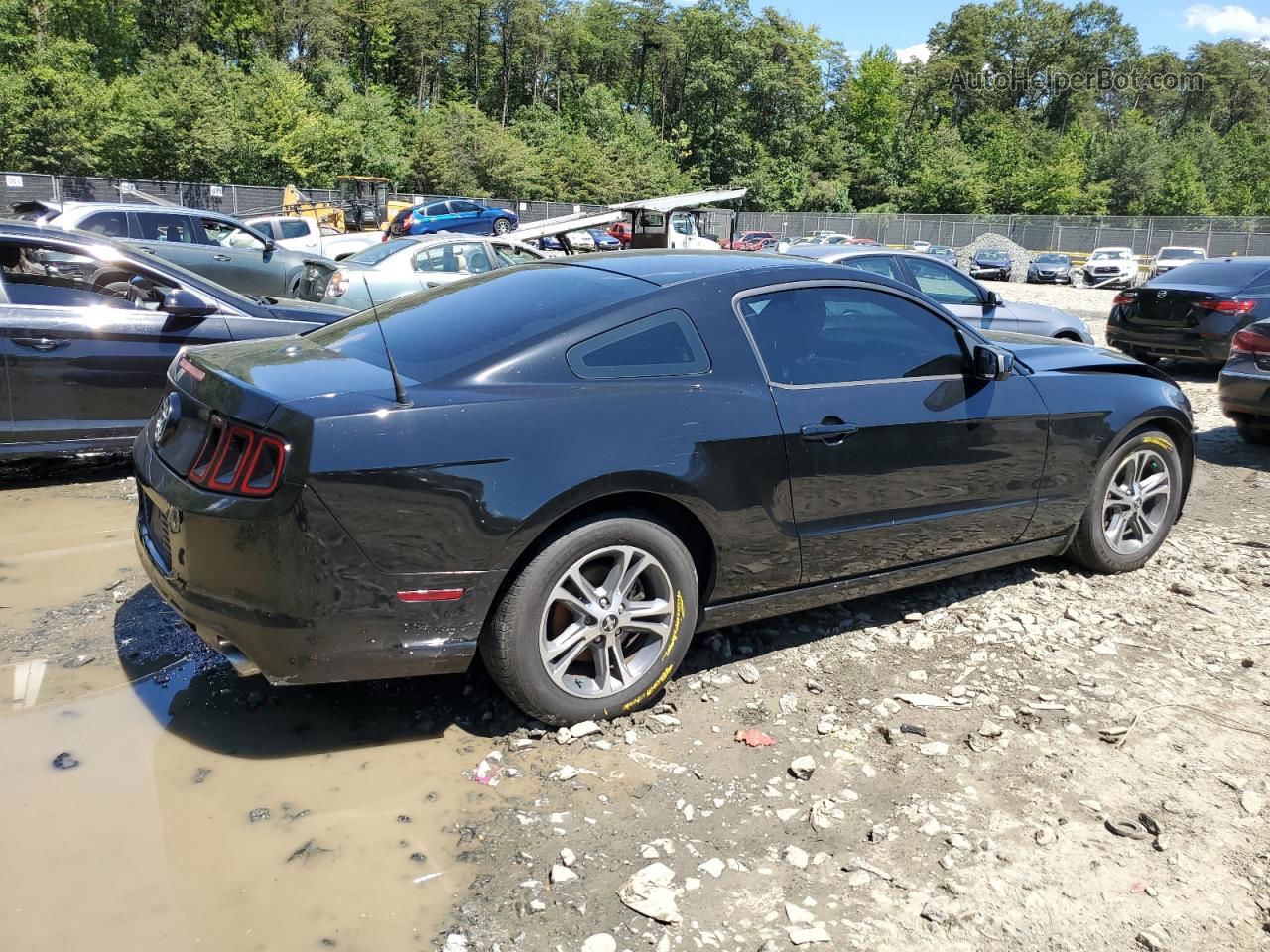 2014 Ford Mustang  Black vin: 1ZVBP8AM5E5264780