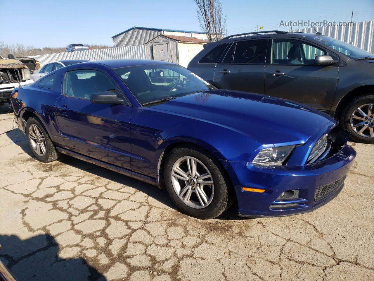 2014 Ford Mustang  Blue vin: 1ZVBP8AM5E5290098