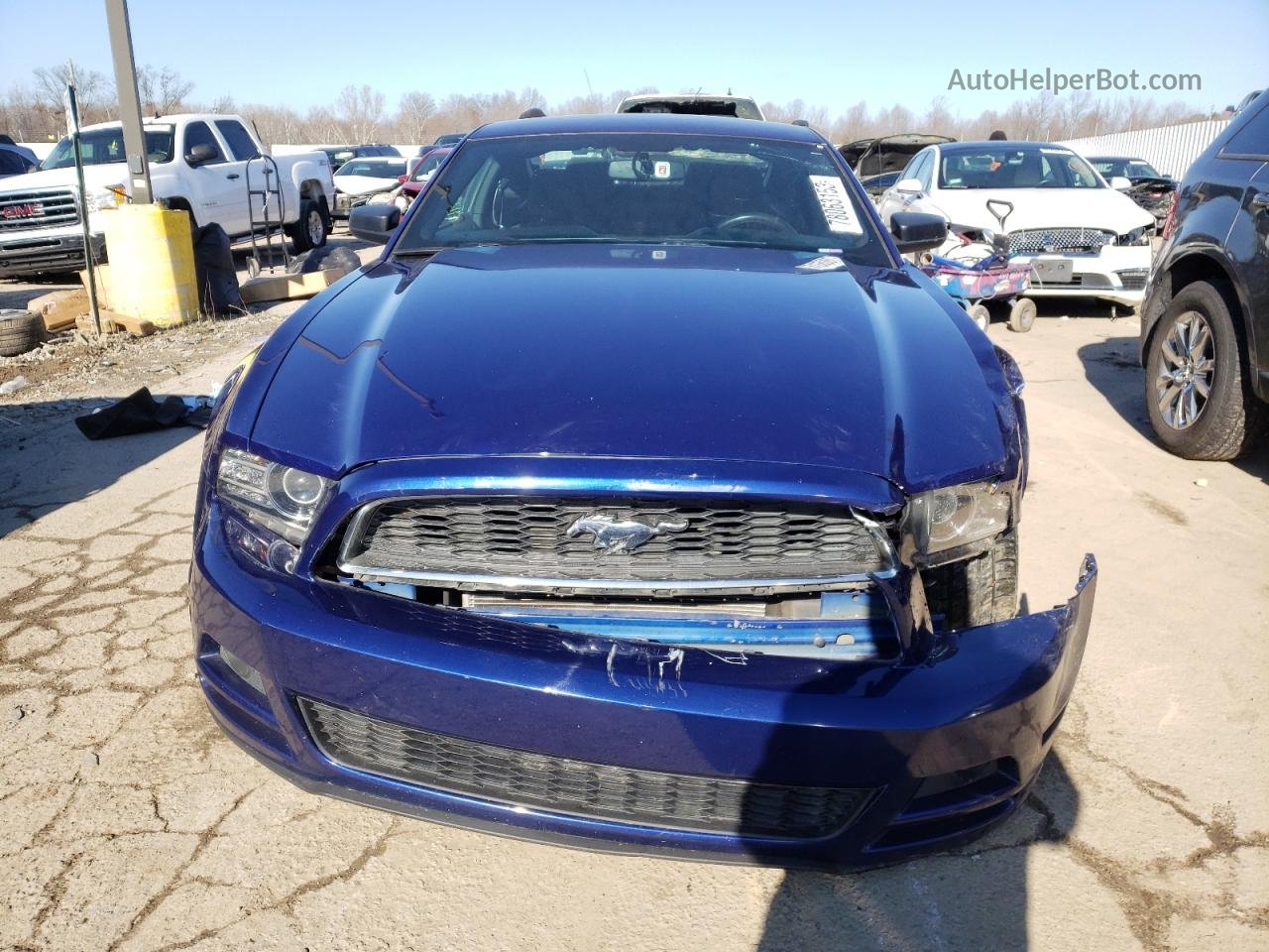 2014 Ford Mustang  Blue vin: 1ZVBP8AM5E5290098