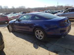 2014 Ford Mustang  Blue vin: 1ZVBP8AM5E5290098