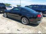 2011 Ford Mustang V6 Black vin: 1ZVBP8AM6B5114110