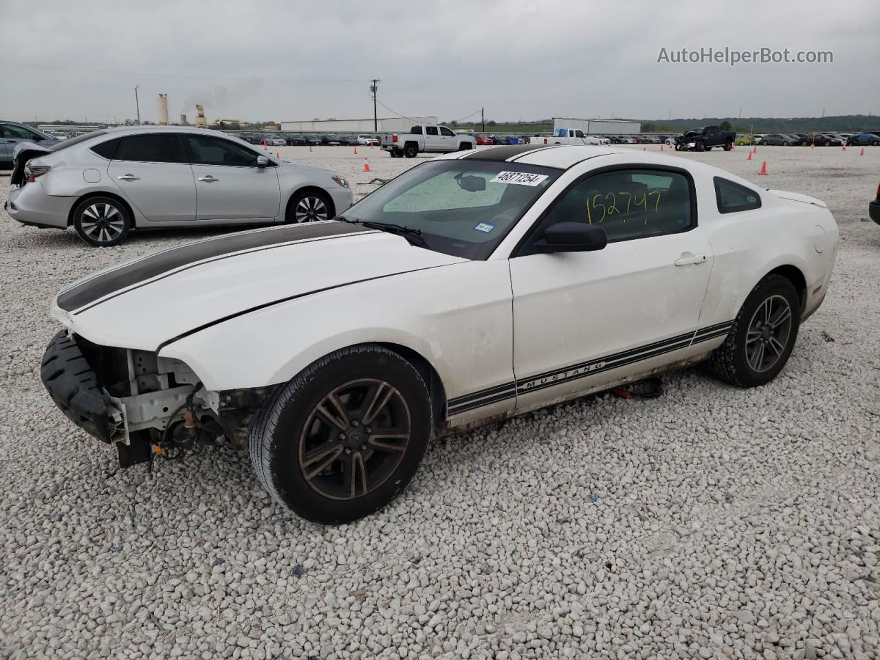 2011 Ford Mustang  White vin: 1ZVBP8AM6B5120702