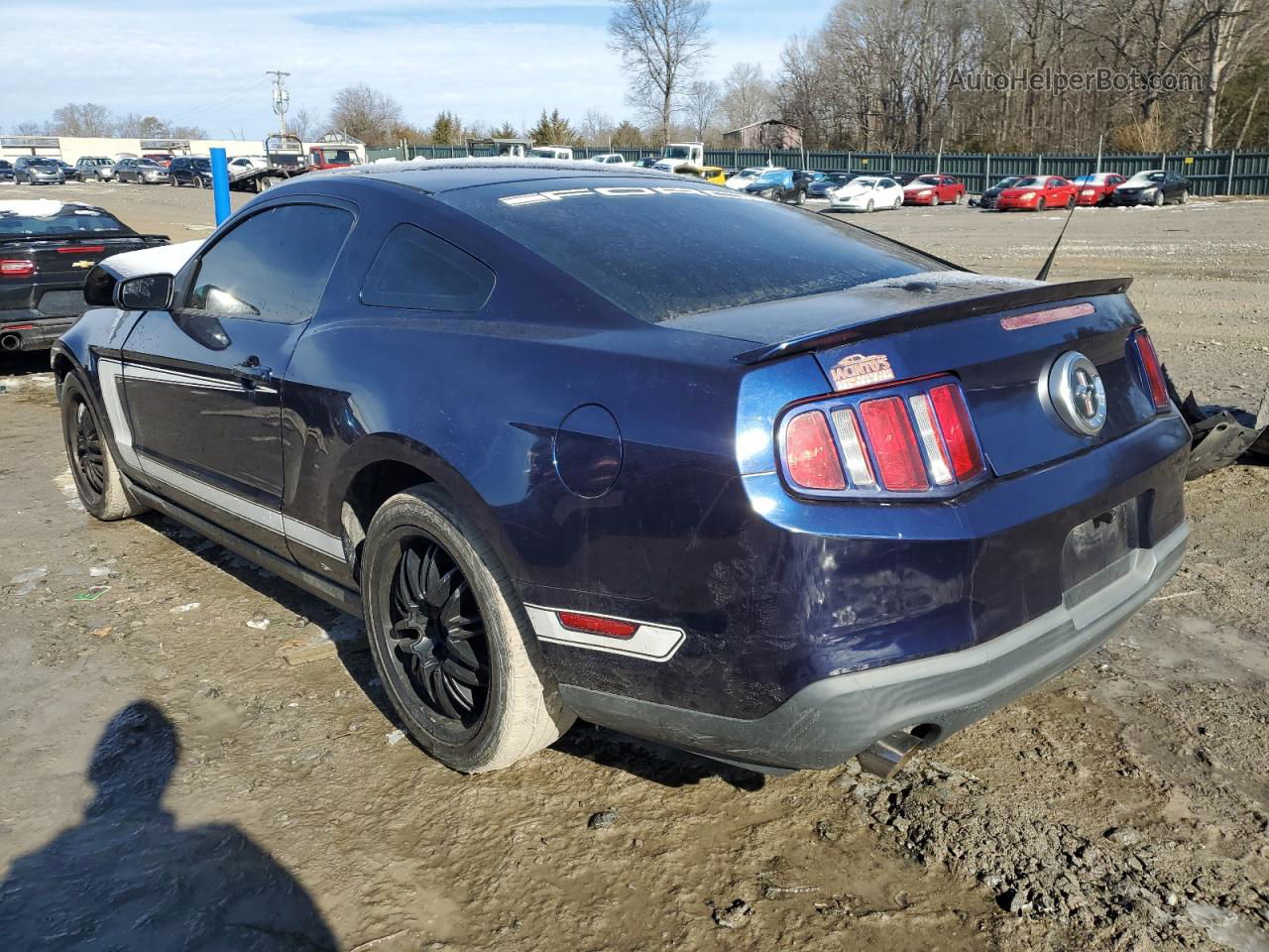 2011 Ford Mustang  Blue vin: 1ZVBP8AM6B5122868