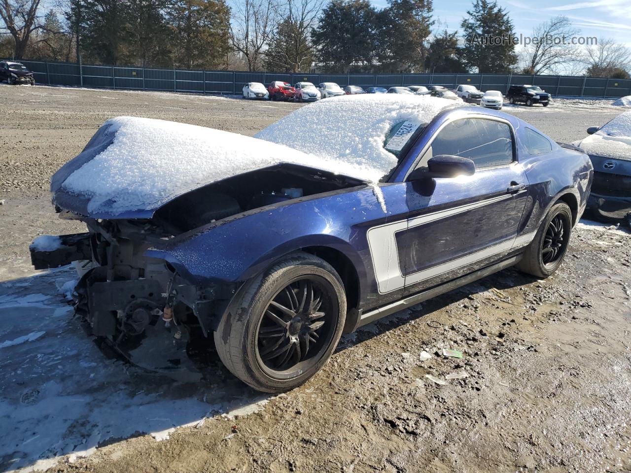 2011 Ford Mustang  Blue vin: 1ZVBP8AM6B5122868