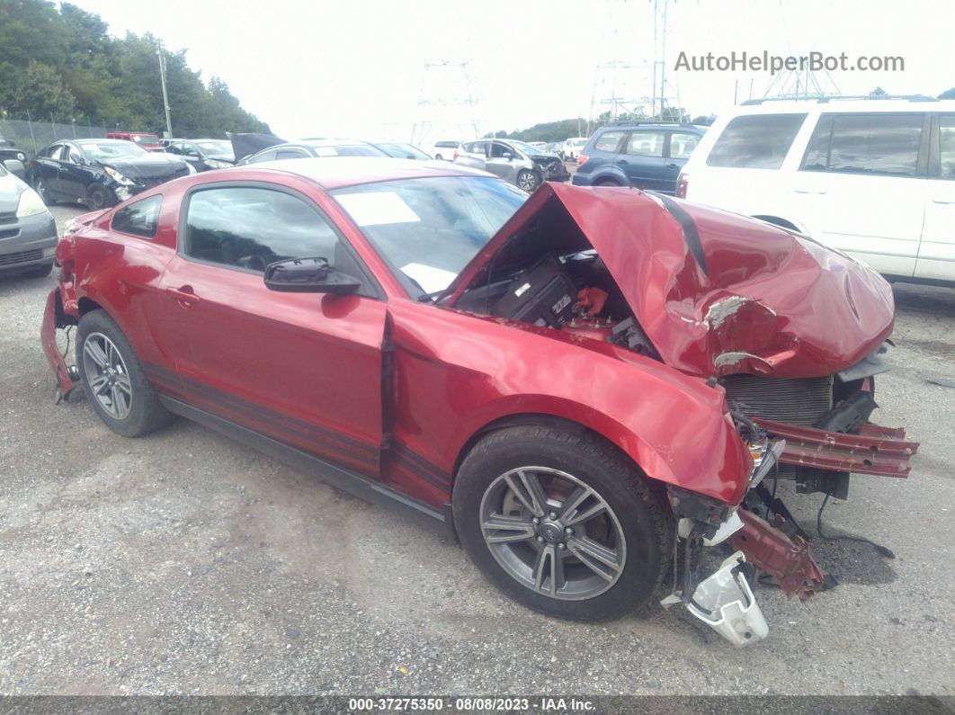 2011 Ford Mustang V6 Красный vin: 1ZVBP8AM6B5132557