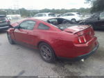 2011 Ford Mustang V6 Красный vin: 1ZVBP8AM6B5132557