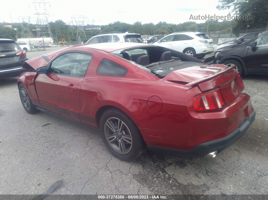 2011 Ford Mustang V6 Красный vin: 1ZVBP8AM6B5132557