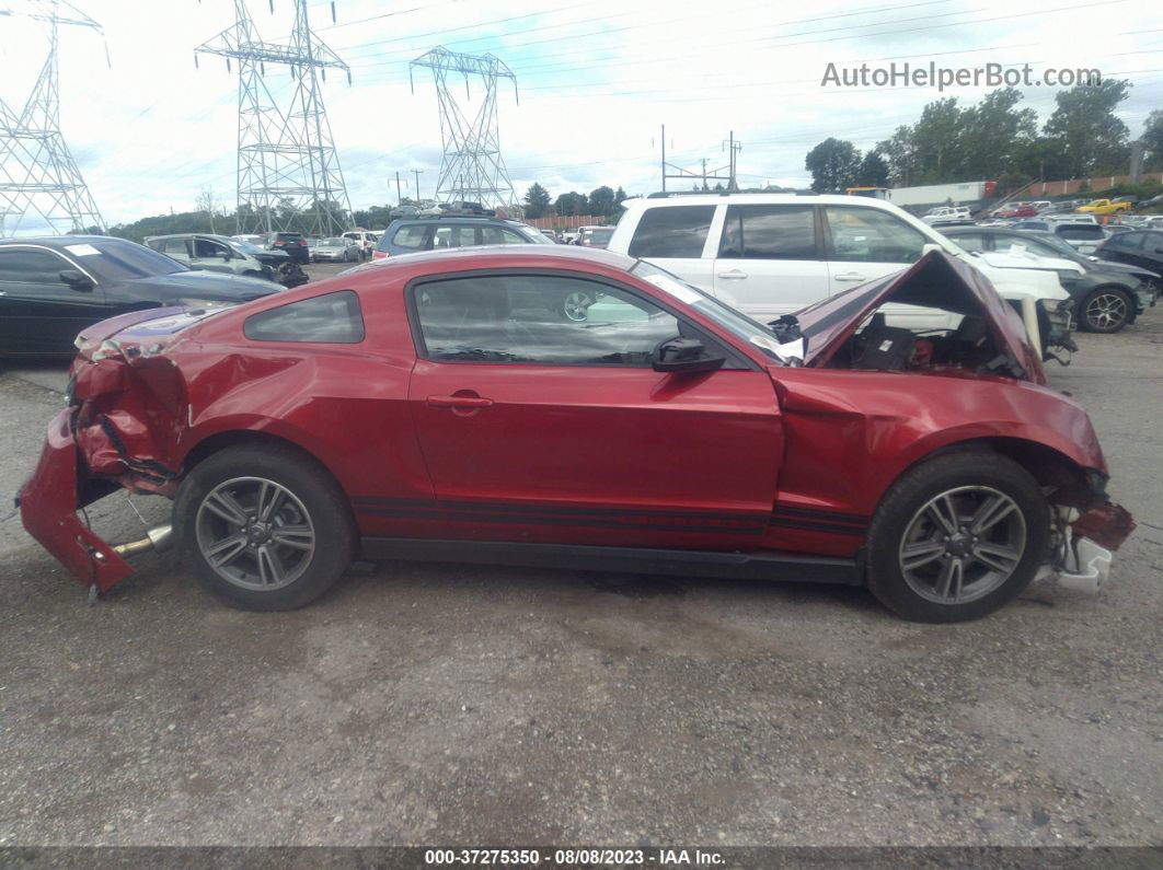 2011 Ford Mustang V6 Красный vin: 1ZVBP8AM6B5132557