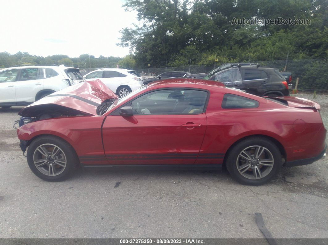 2011 Ford Mustang V6 Красный vin: 1ZVBP8AM6B5132557