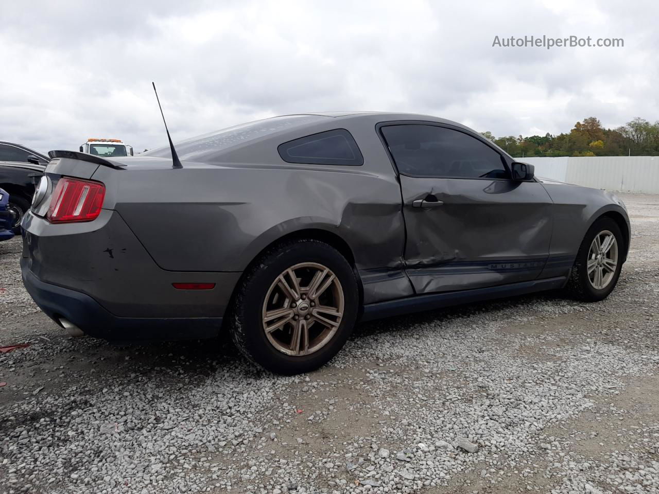 2011 Ford Mustang  Серый vin: 1ZVBP8AM6B5132851