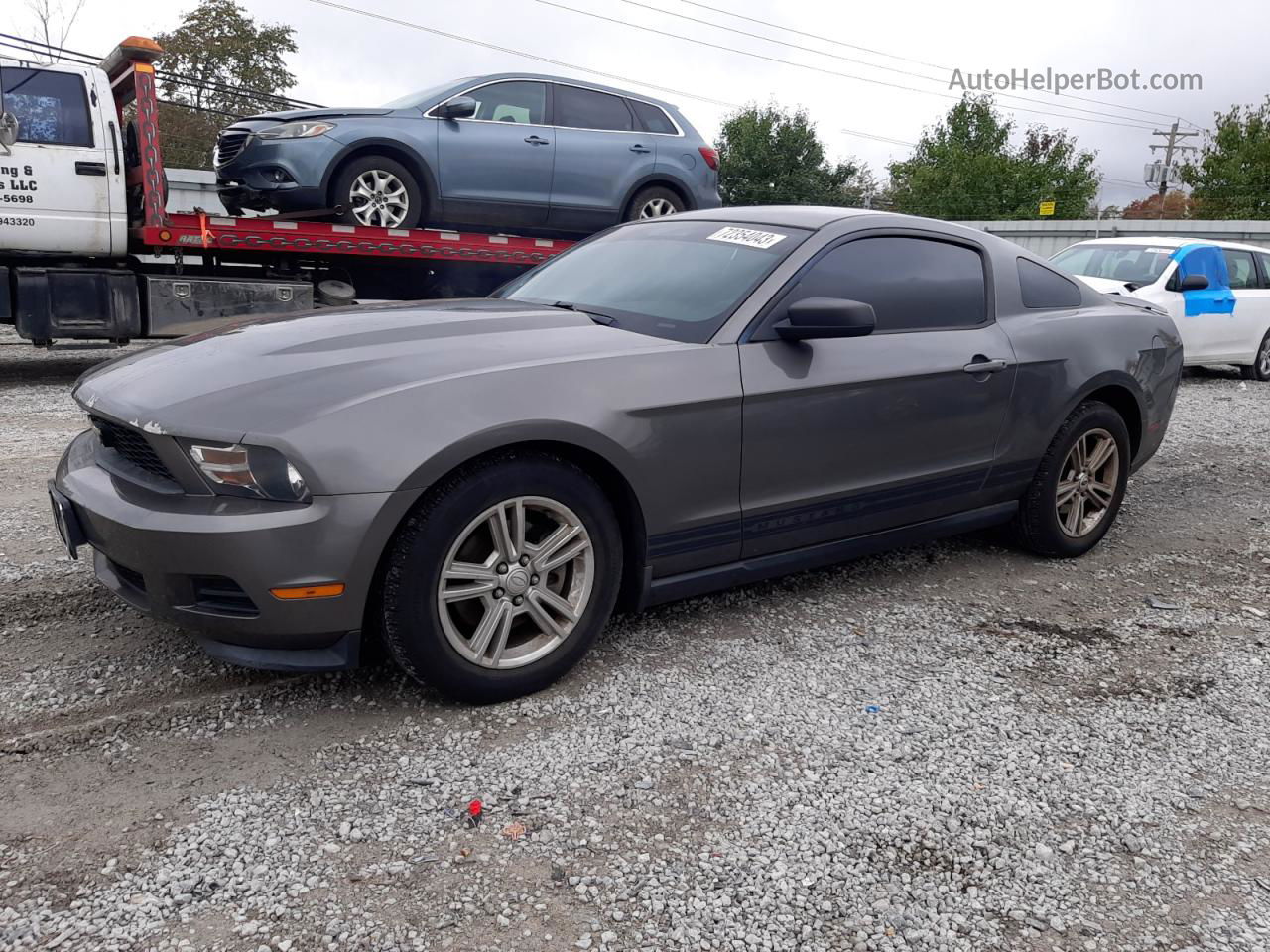 2011 Ford Mustang  Серый vin: 1ZVBP8AM6B5132851