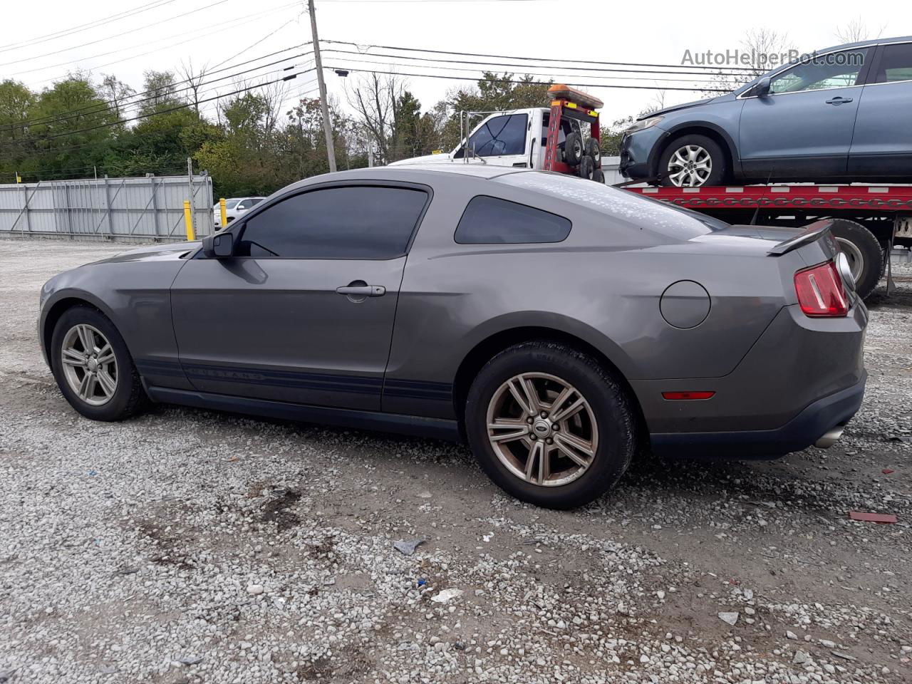 2011 Ford Mustang  Gray vin: 1ZVBP8AM6B5132851