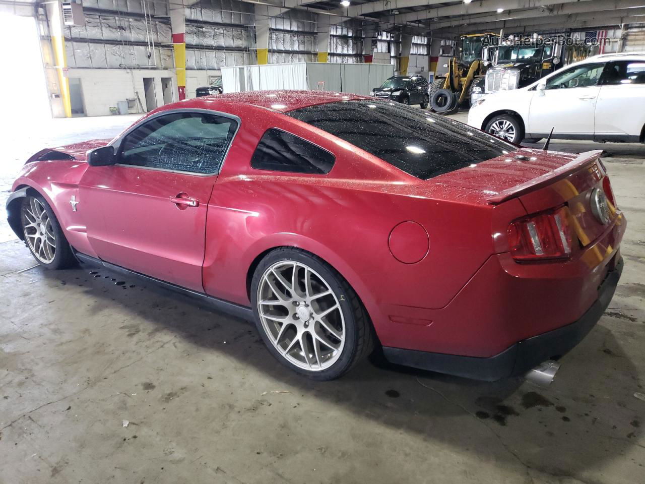 2011 Ford Mustang  Красный vin: 1ZVBP8AM6B5152355