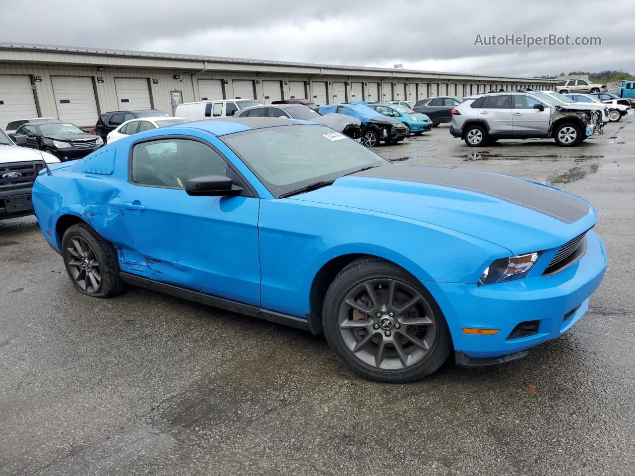 2011 Ford Mustang  Blue vin: 1ZVBP8AM6B5153392