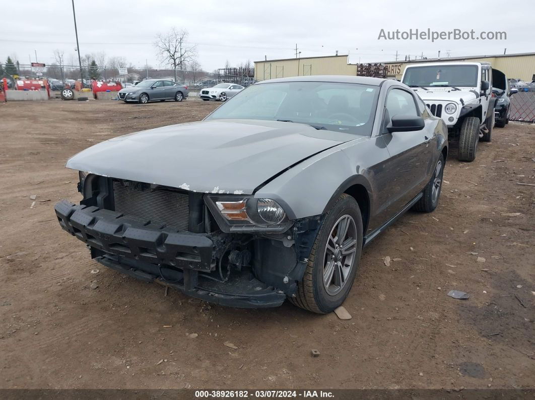 2011 Ford Mustang V6 Premium Gray vin: 1ZVBP8AM6B5166000