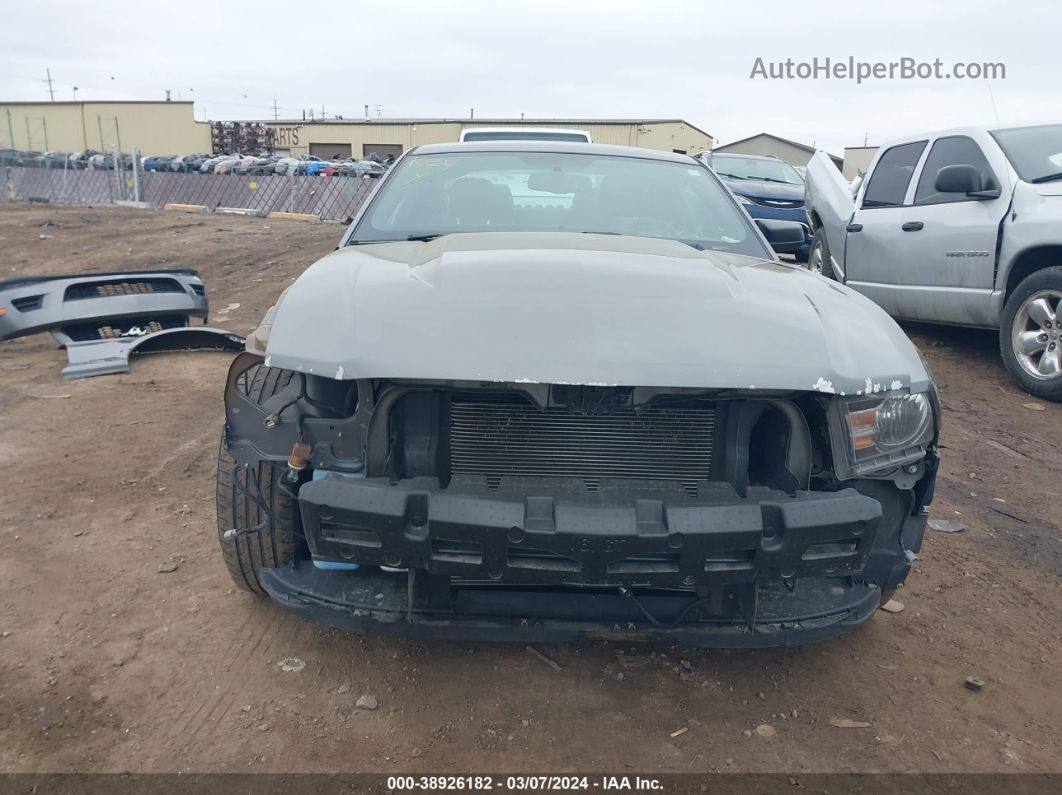 2011 Ford Mustang V6 Premium Gray vin: 1ZVBP8AM6B5166000