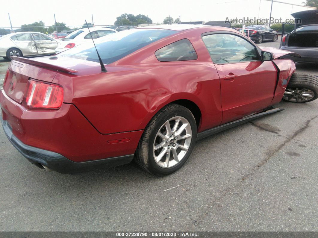 2011 Ford Mustang V6 Red vin: 1ZVBP8AM6B5168359