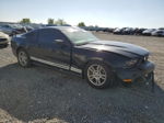 2011 Ford Mustang  Black vin: 1ZVBP8AM7B5106534