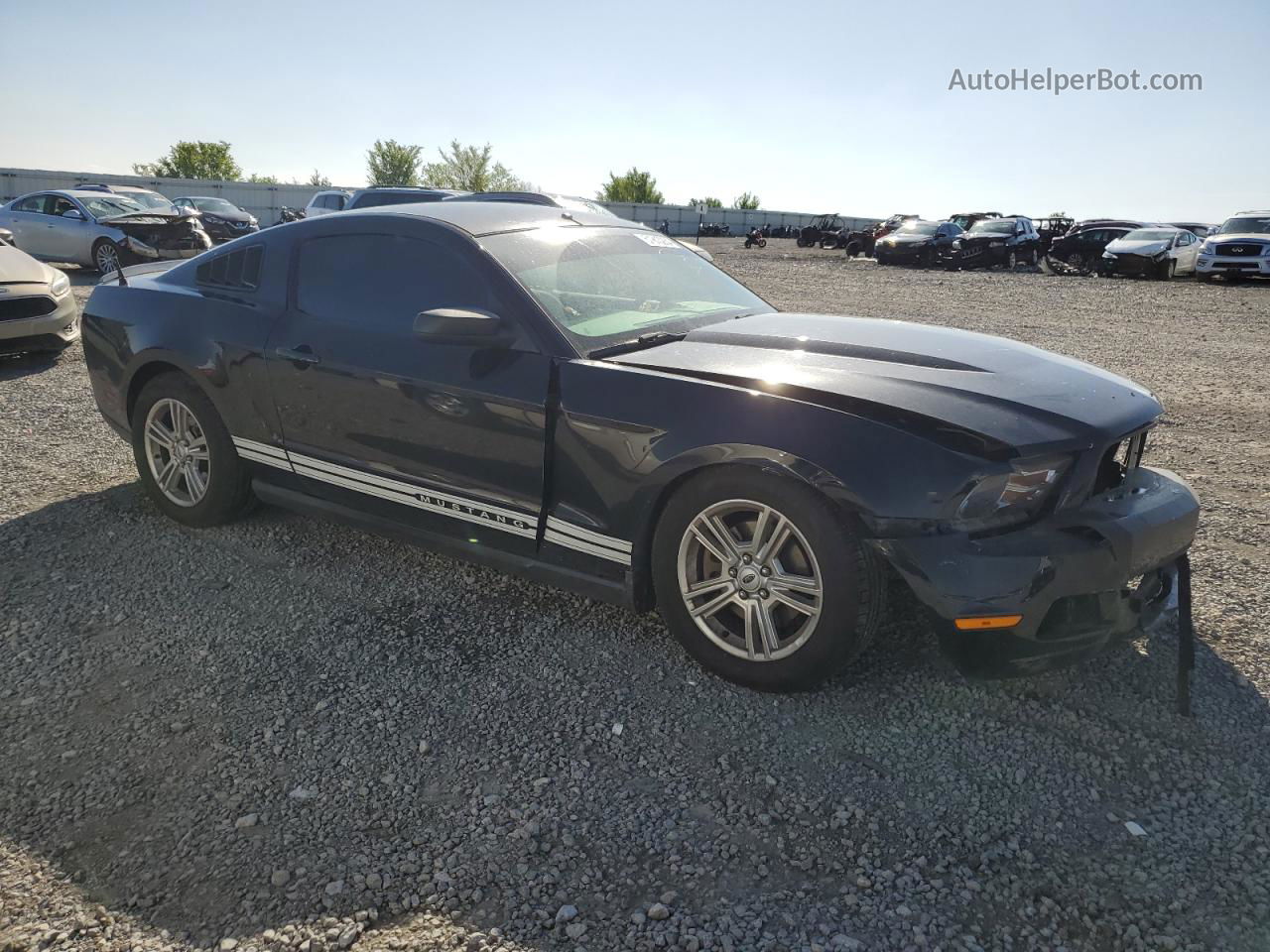 2011 Ford Mustang  Черный vin: 1ZVBP8AM7B5106534