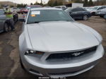 2011 Ford Mustang V6 Silver vin: 1ZVBP8AM7B5110650