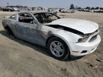 2011 Ford Mustang  White vin: 1ZVBP8AM7B5117694