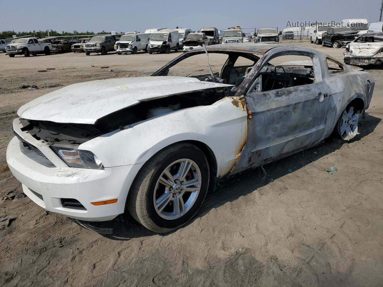 2011 Ford Mustang  White vin: 1ZVBP8AM7B5117694