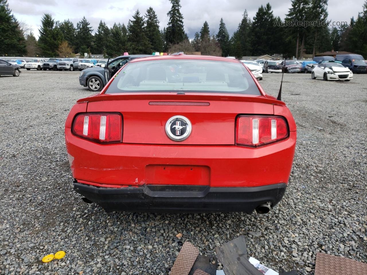 2011 Ford Mustang  Красный vin: 1ZVBP8AM7B5132308
