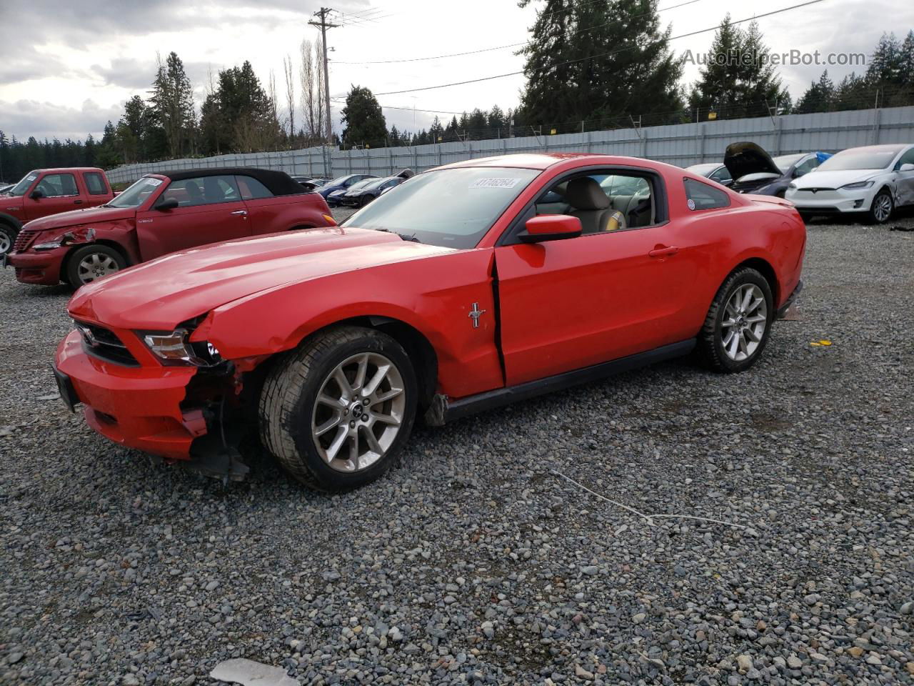 2011 Ford Mustang  Красный vin: 1ZVBP8AM7B5132308