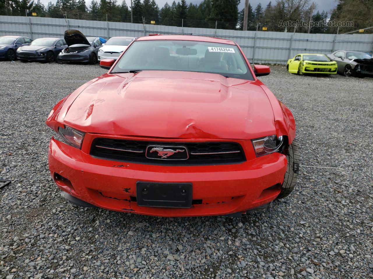 2011 Ford Mustang  Красный vin: 1ZVBP8AM7B5132308