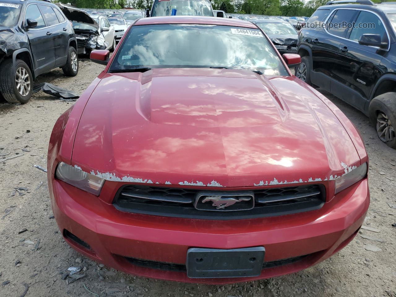 2011 Ford Mustang  Red vin: 1ZVBP8AM7B5132468